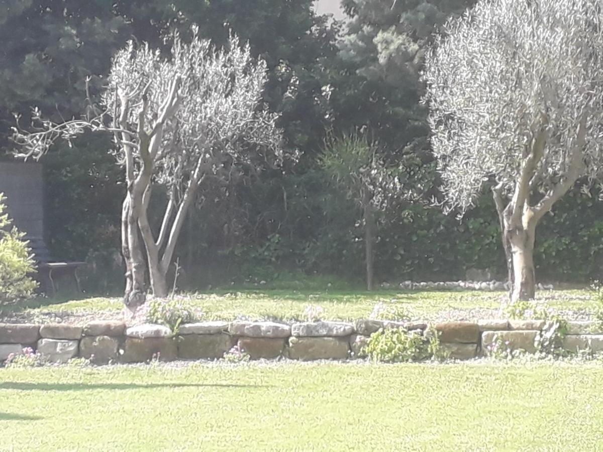 Mas" La Maison De Mon Pere " Proche Avignon A Pujaut Dış mekan fotoğraf